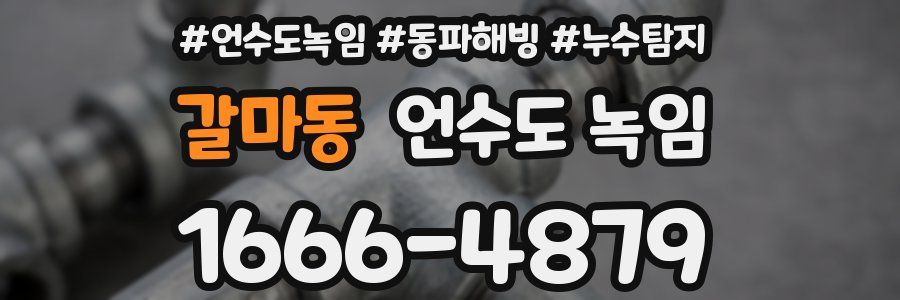 갈마동 언수도 녹임