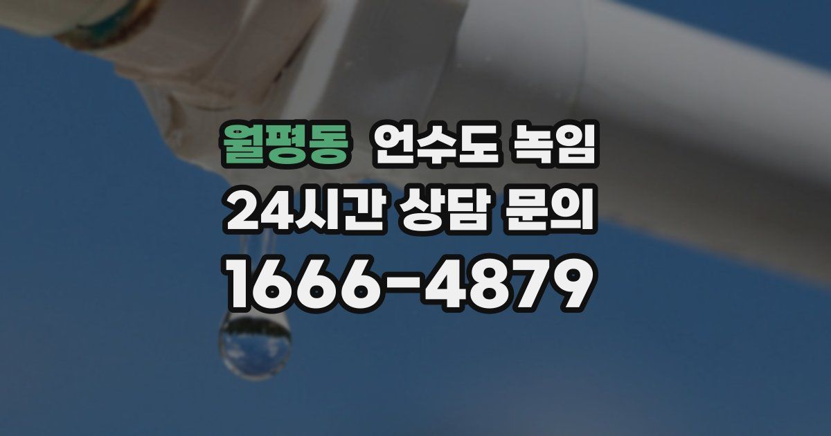 월평동 언수도 녹임