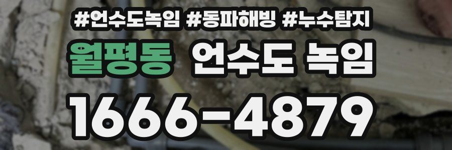 월평동 언수도 녹임