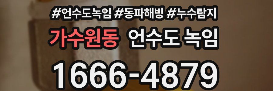 가수원동 언수도 녹임