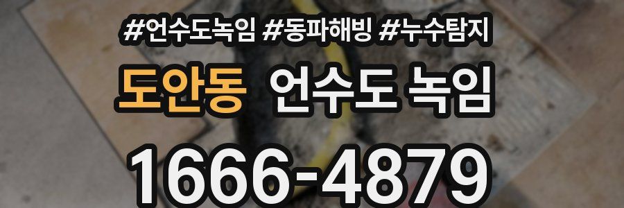 도안동 언수도 녹임