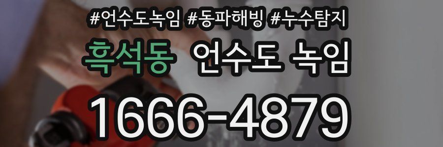 흑석동 언수도 녹임