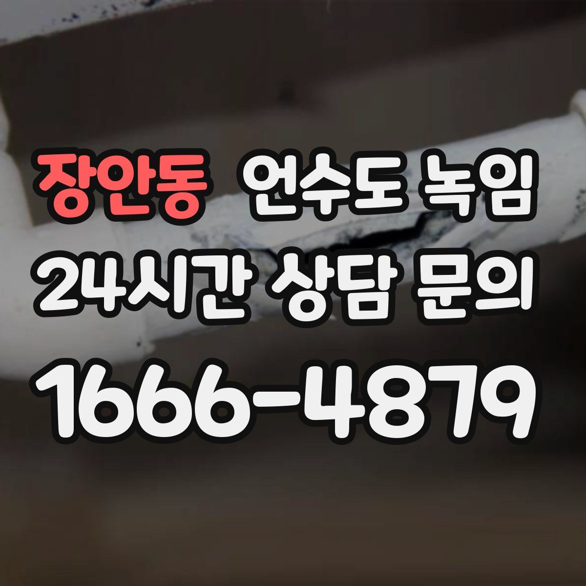 장안동 언수도 녹임