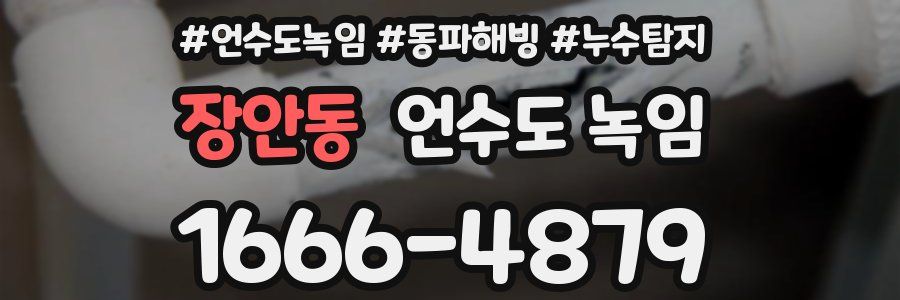 장안동 언수도 녹임