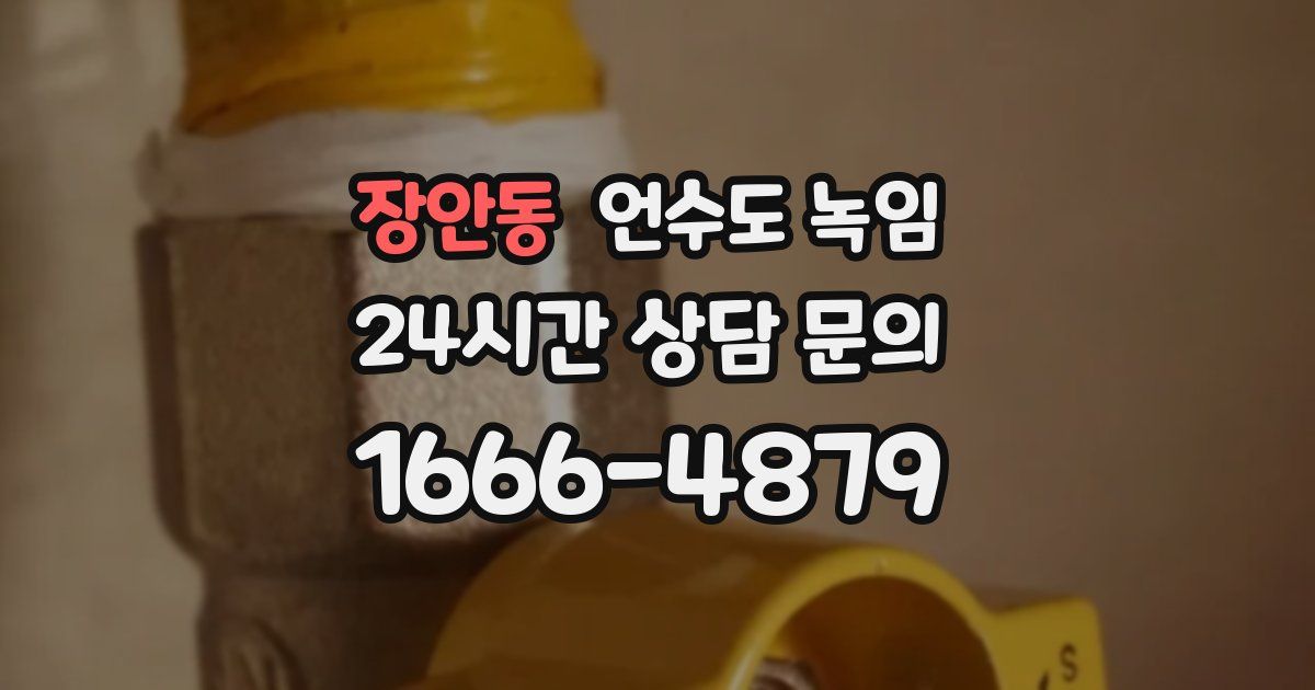 장안동 언수도 녹임