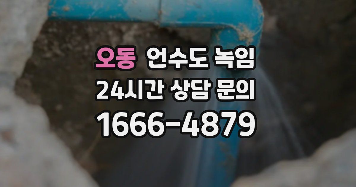 오동 언수도 녹임