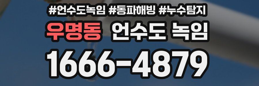 우명동 언수도 녹임