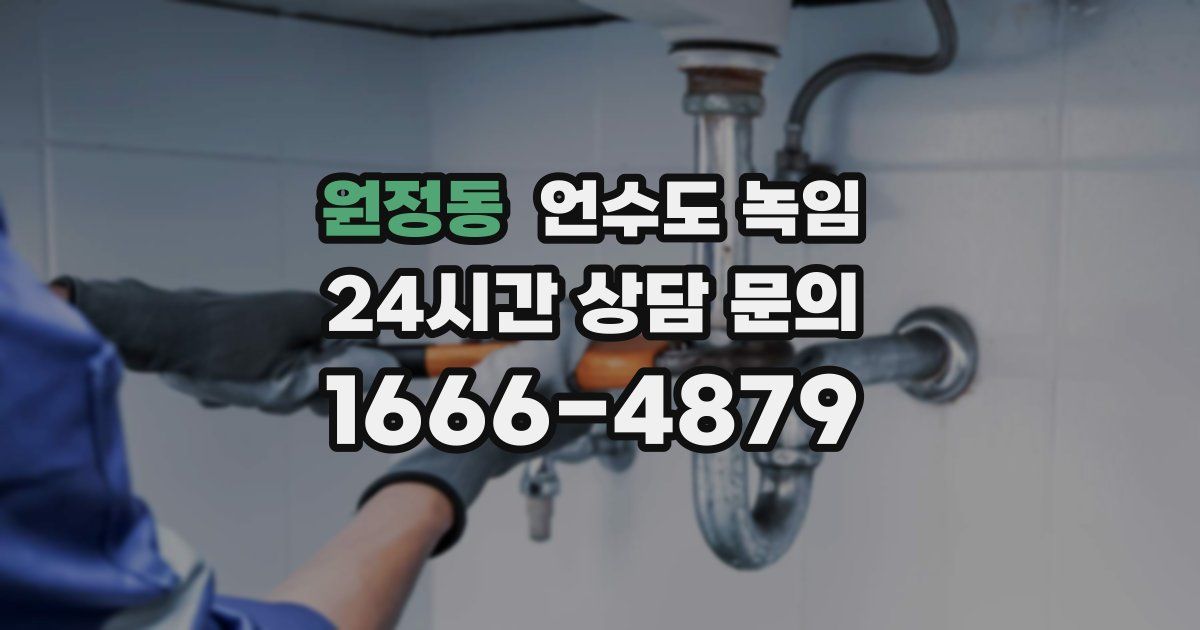 원정동 언수도 녹임