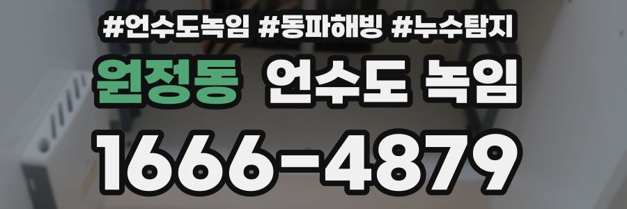 원정동 언수도 녹임