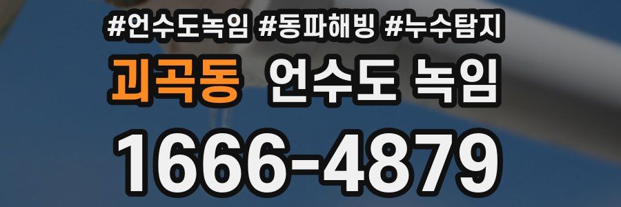 괴곡동 언수도 녹임