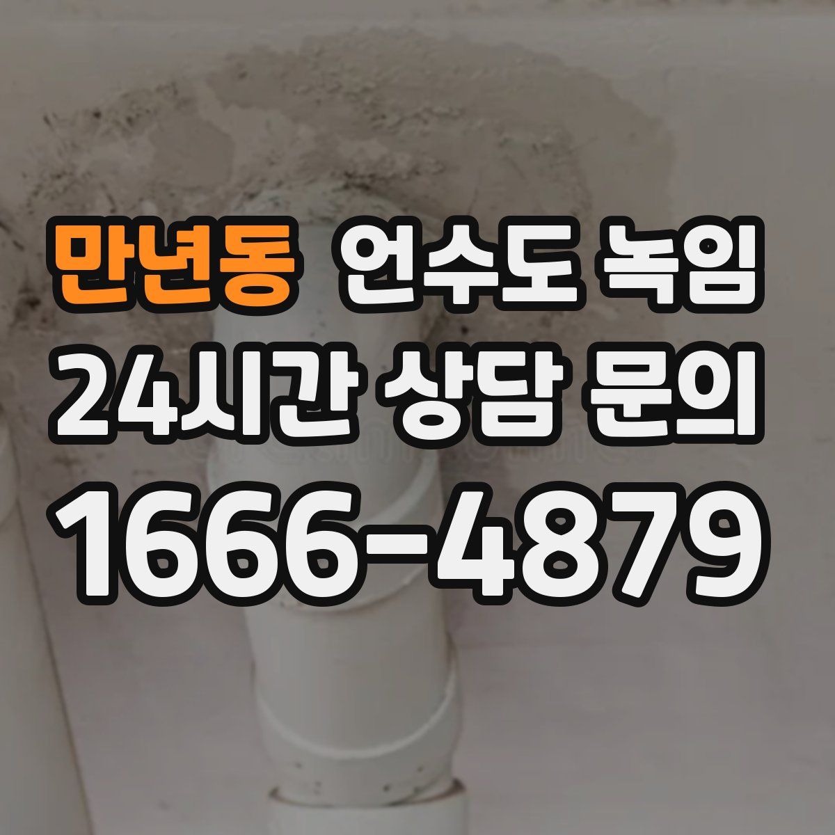 만년동 언수도 녹임