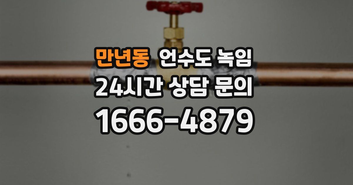 만년동 언수도 녹임