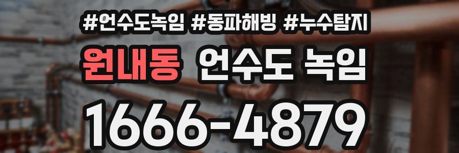 원내동 언수도 녹임