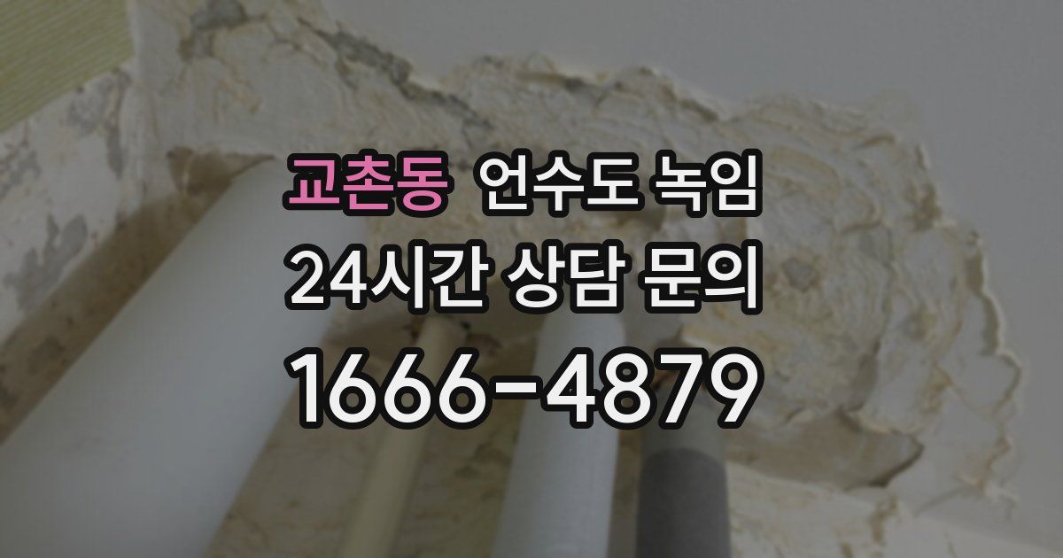 교촌동 언수도 녹임