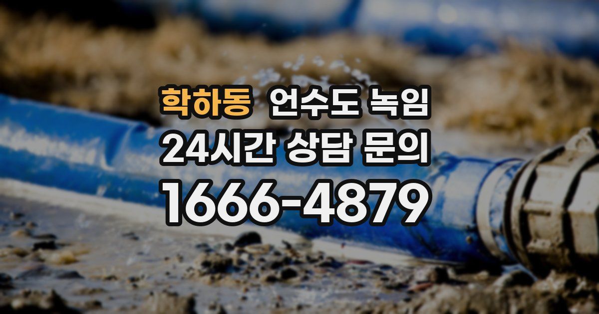 학하동 언수도 녹임