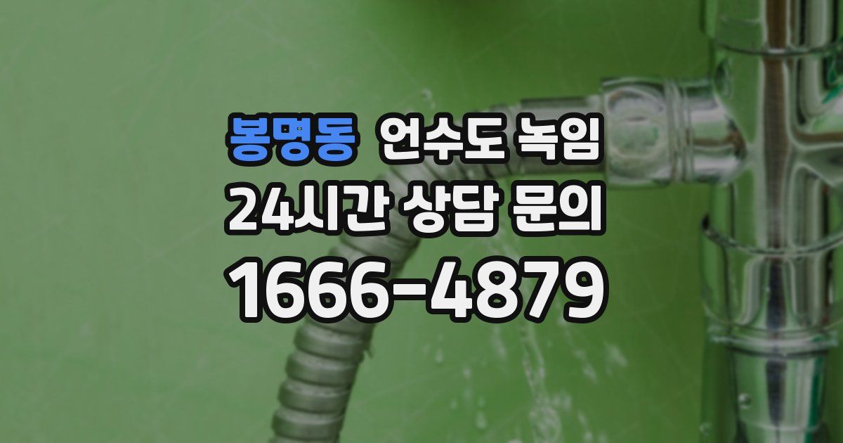 봉명동 언수도 녹임