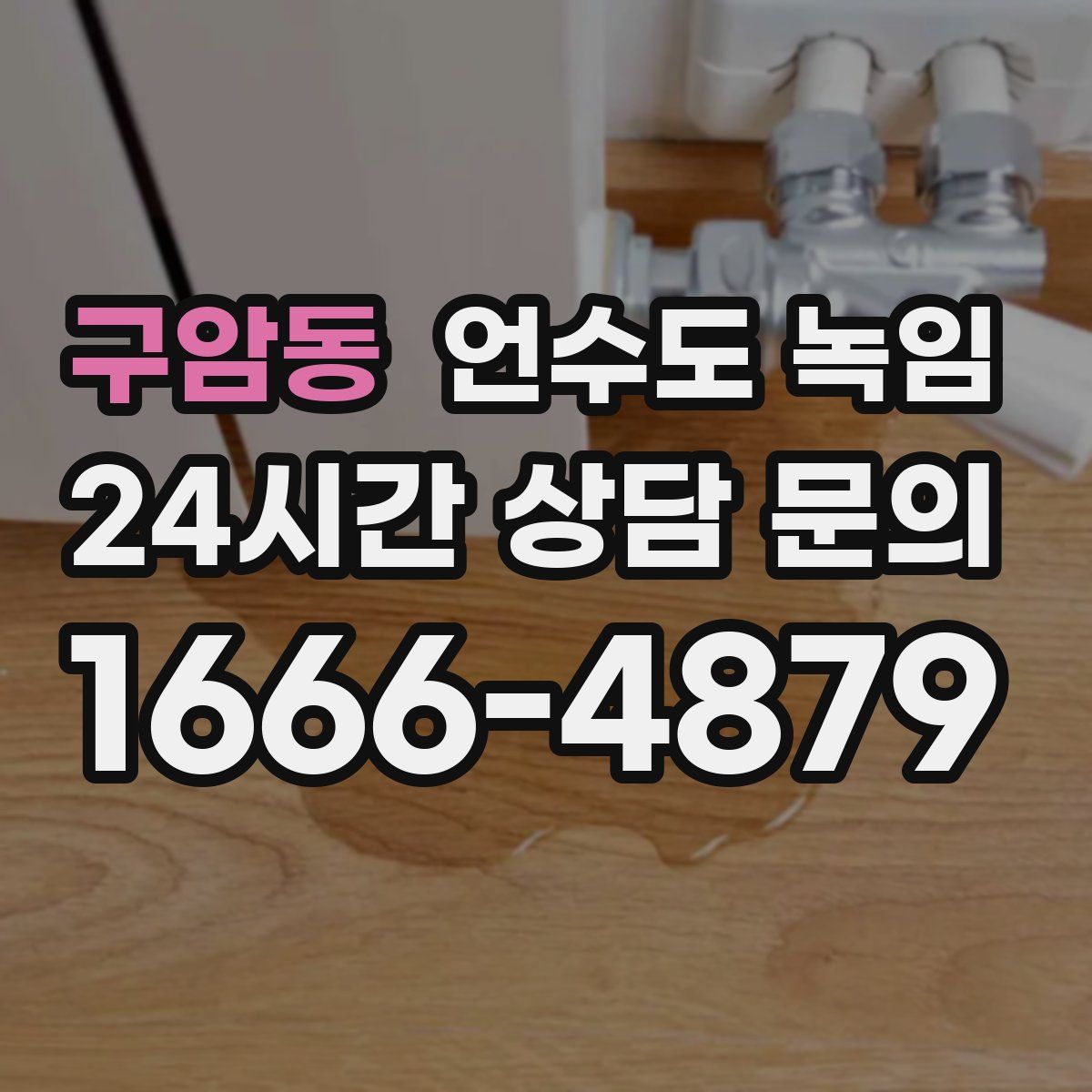 구암동 언수도 녹임