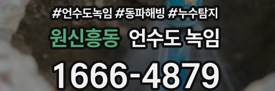 원신흥동 언수도 녹임