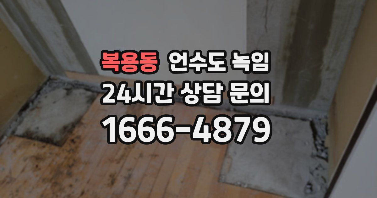 복용동 언수도 녹임