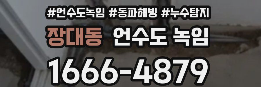 장대동 언수도 녹임