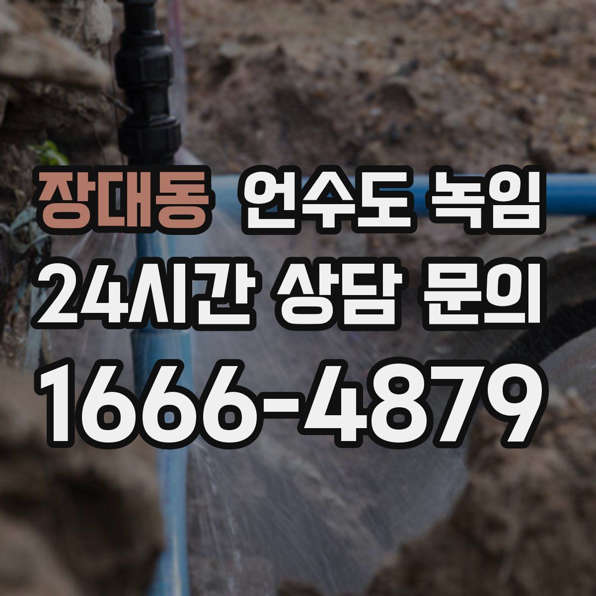 장대동 언수도 녹임