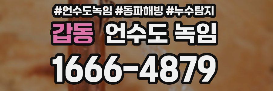 갑동 언수도 녹임