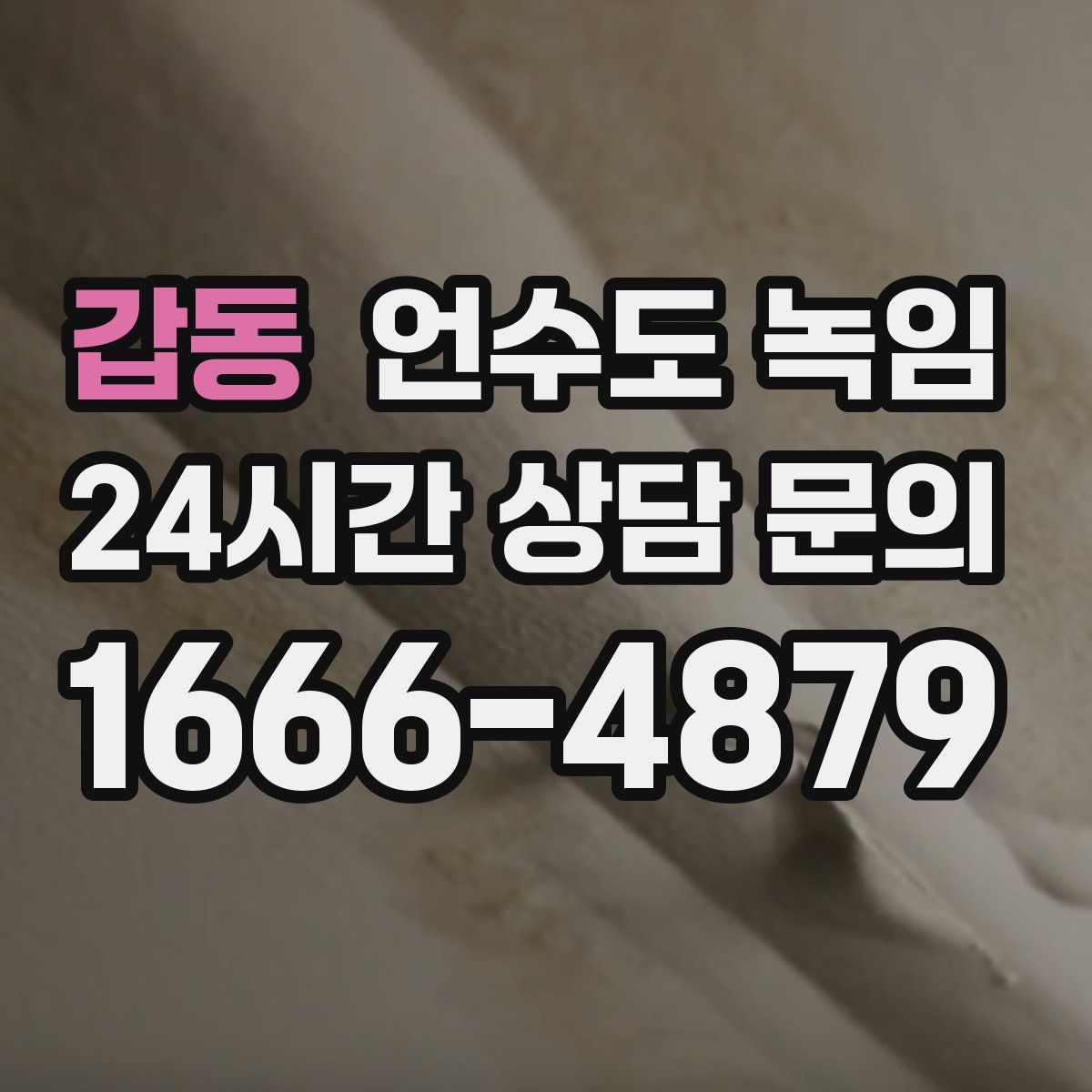 갑동 언수도 녹임