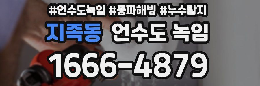 지족동 언수도 녹임