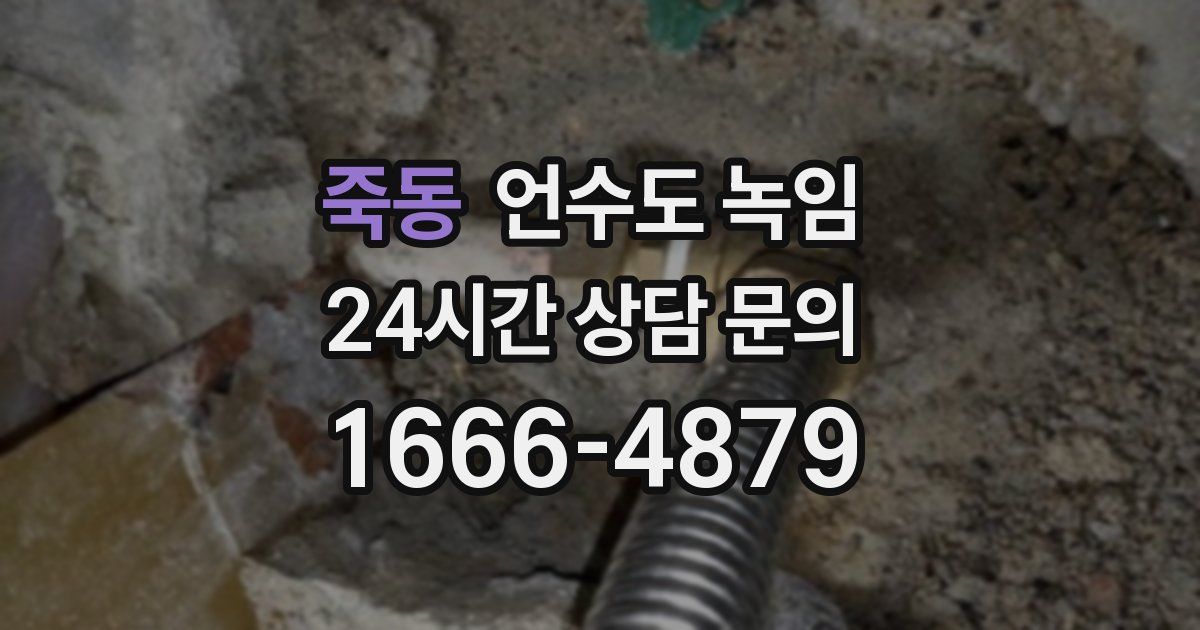 죽동 언수도 녹임