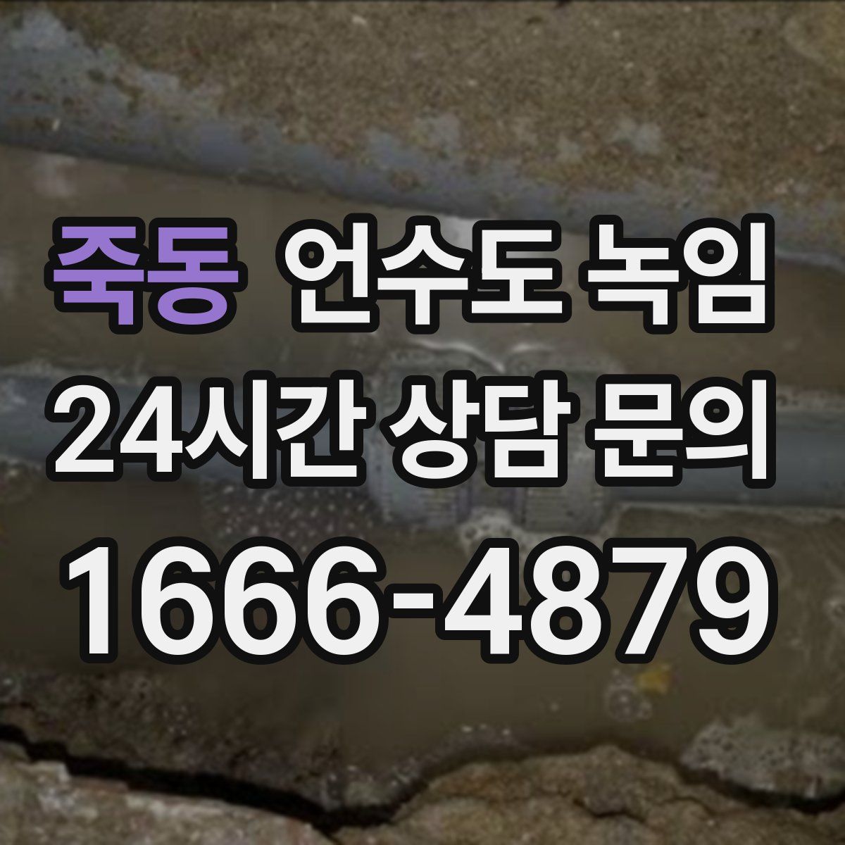 죽동 언수도 녹임