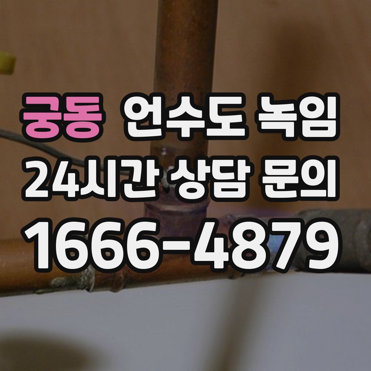 궁동 언수도 녹임