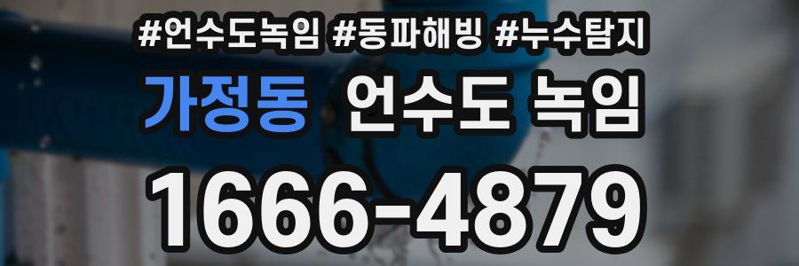 가정동 언수도 녹임