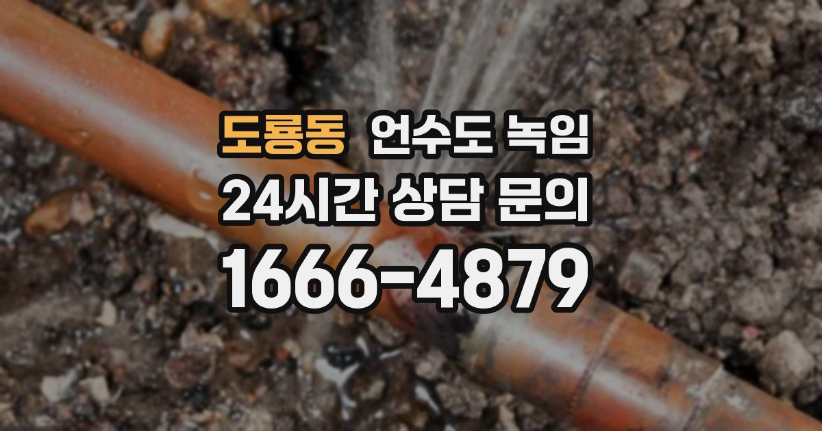 도룡동 언수도 녹임