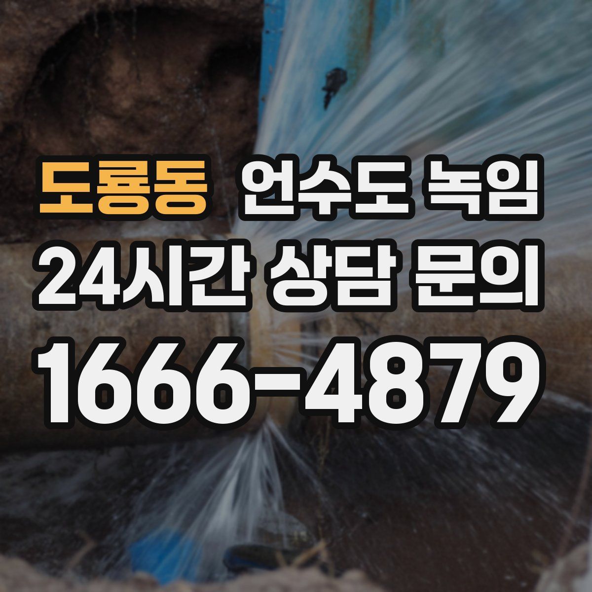 도룡동 언수도 녹임