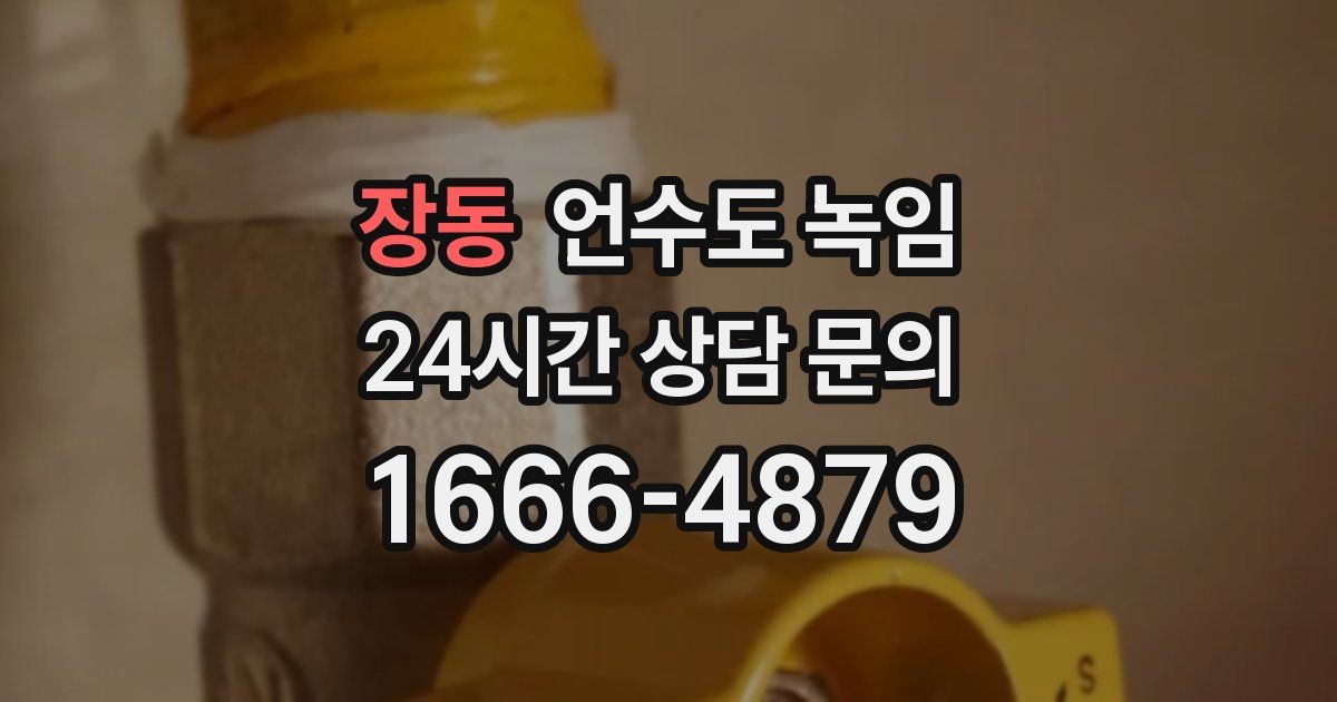 장동 언수도 녹임