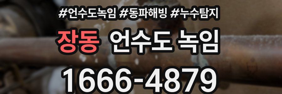 장동 언수도 녹임