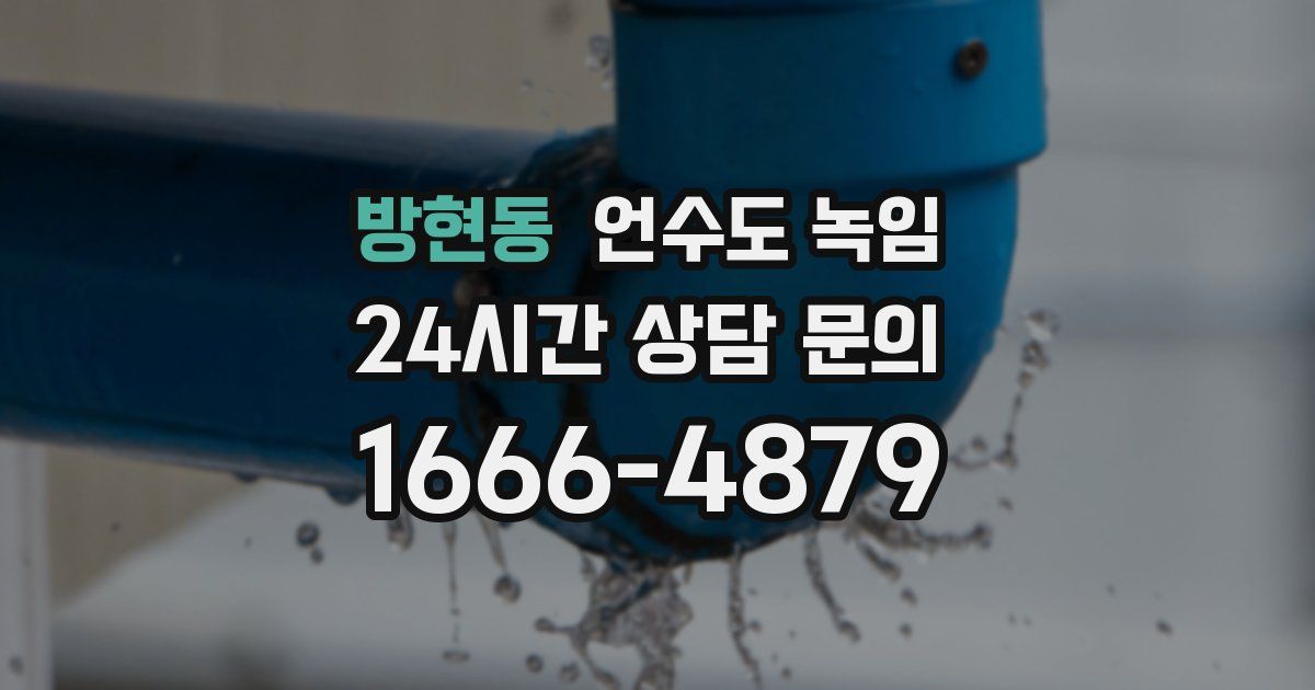 방현동 언수도 녹임