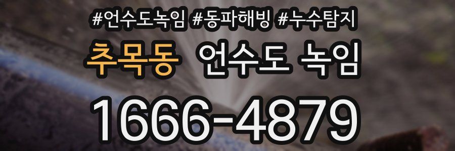 추목동 언수도 녹임