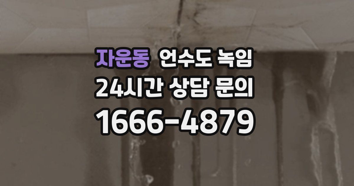 자운동 언수도 녹임