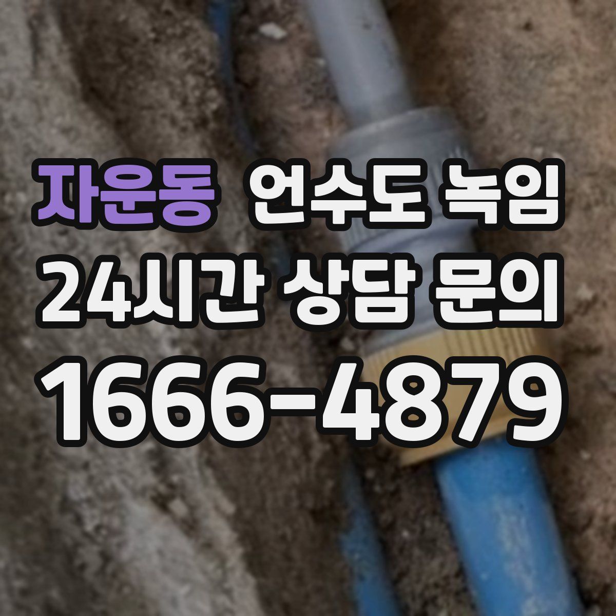 자운동 언수도 녹임