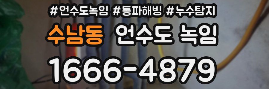 수남동 언수도 녹임