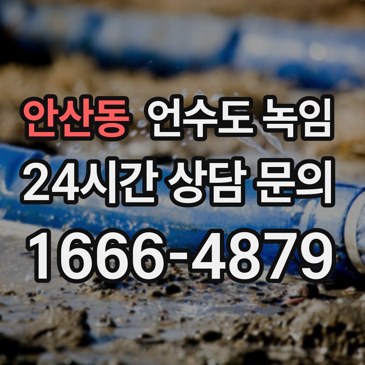 안산동 언수도 녹임