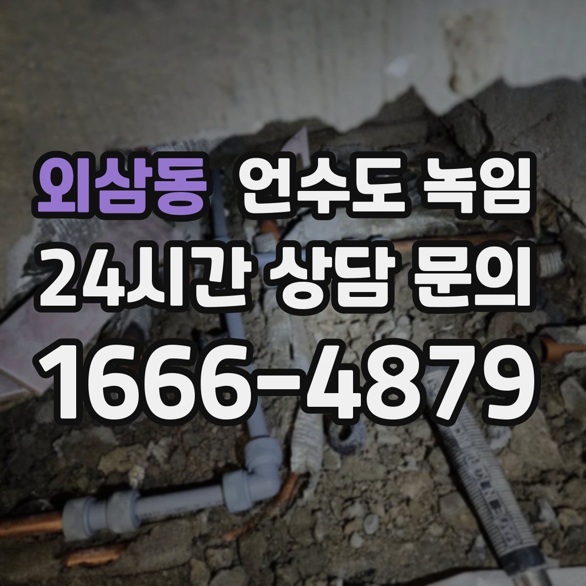 외삼동 언수도 녹임