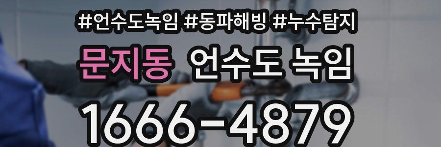 문지동 언수도 녹임