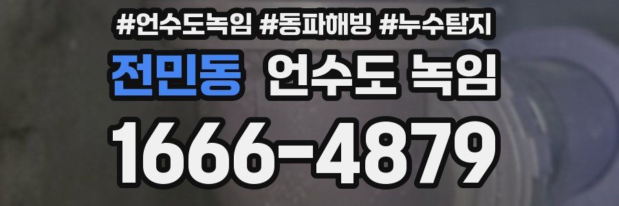 전민동 언수도 녹임