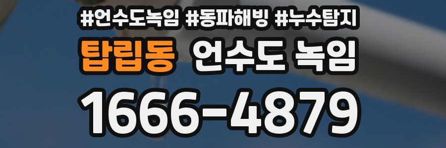 탑립동 언수도 녹임