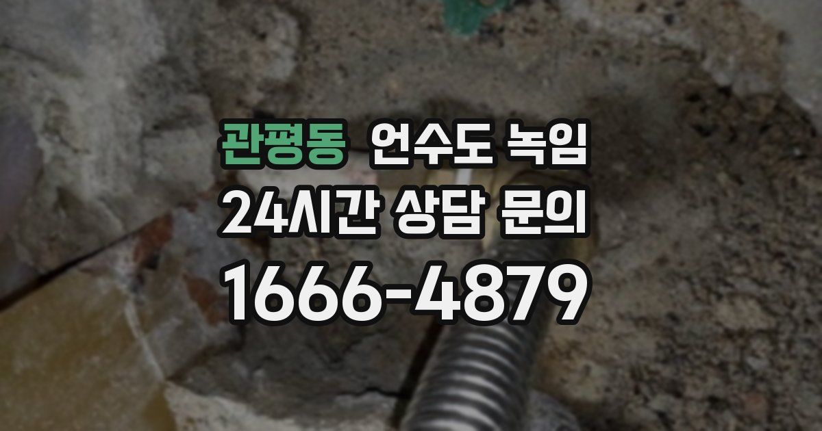 관평동 언수도 녹임