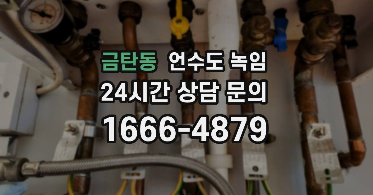 금탄동 언수도 녹임