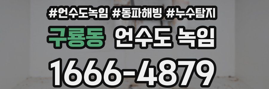 구룡동 언수도 녹임