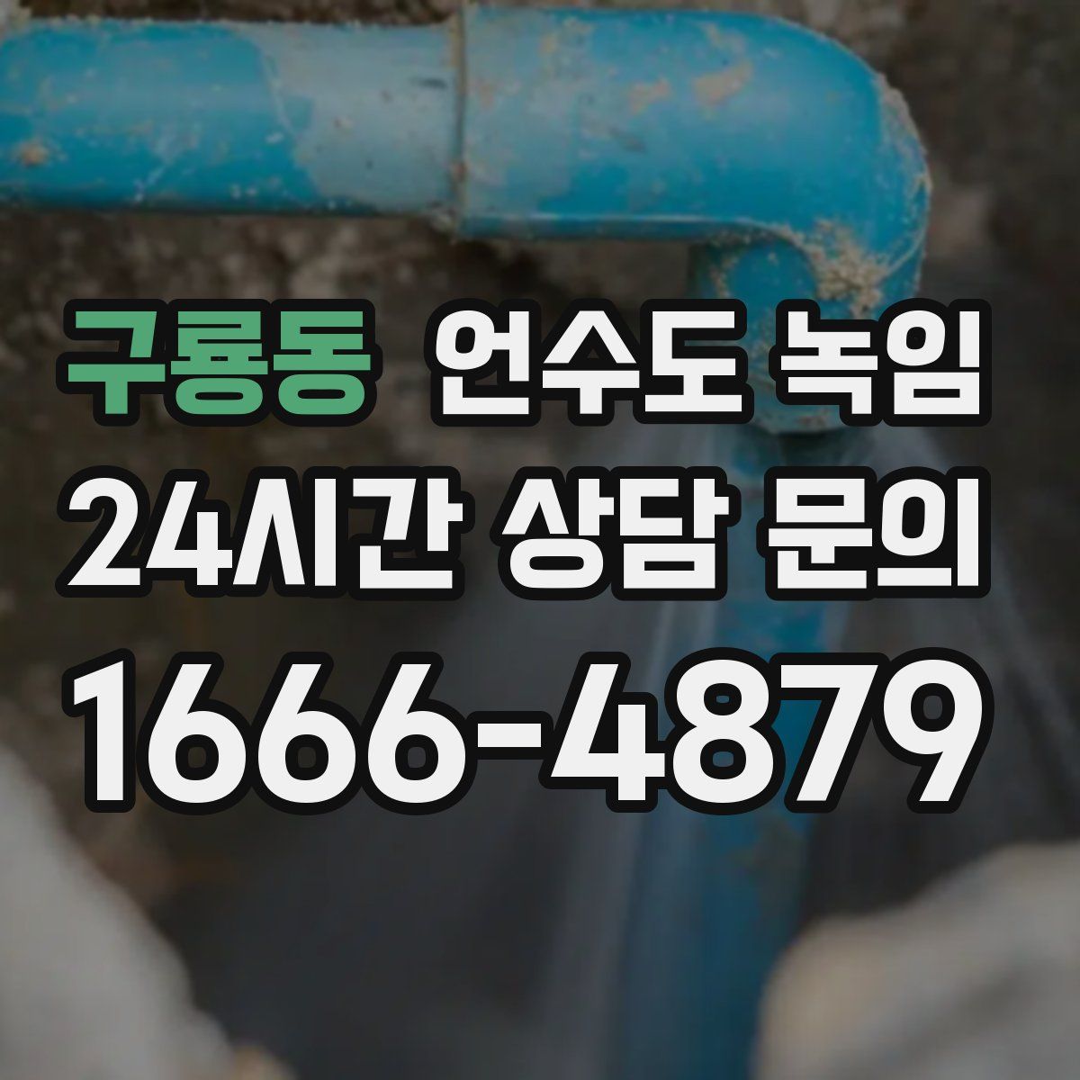 구룡동 언수도 녹임